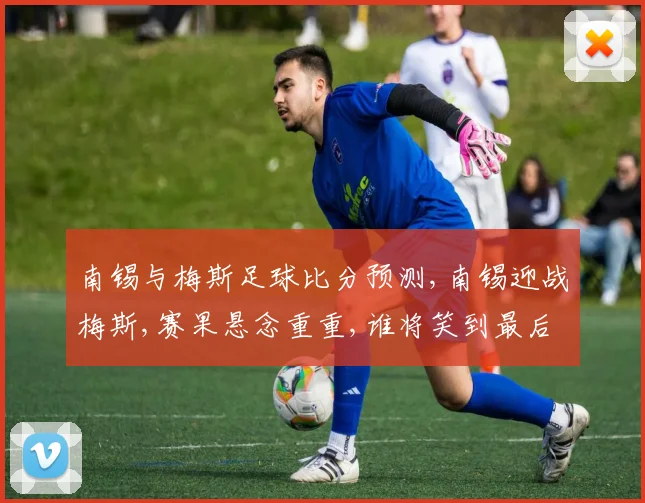 南锡与梅斯足球比分预测,南锡迎战梅斯,赛果悬念重重,谁将笑到最后